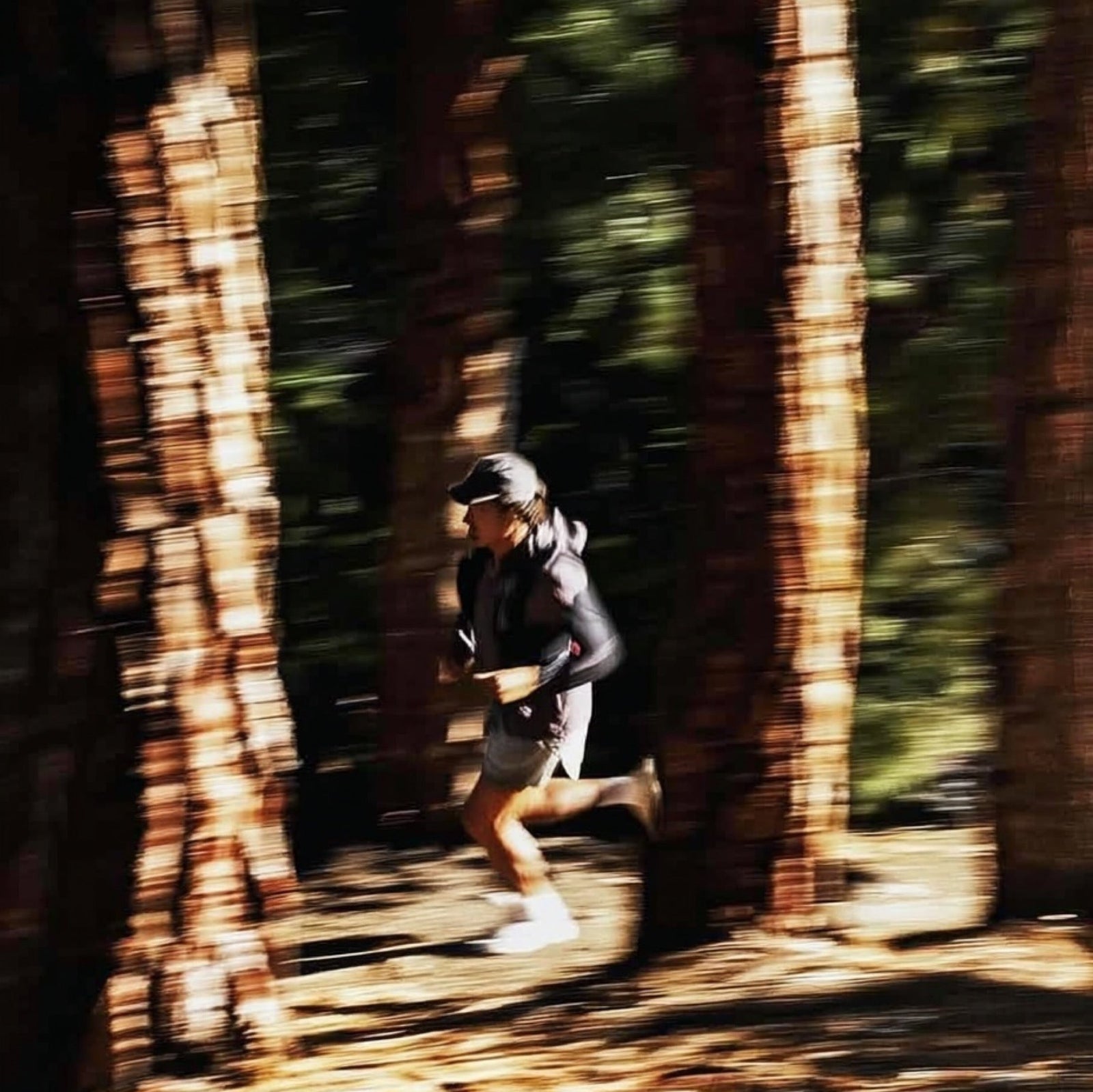 Adaptogens and Athletic Performance
